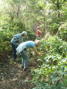 Julie Rumble(3rd grade teacher) joins Donna Pearson-Pugh(AVES Principle) and Patty Madigan on clearing the lower trail