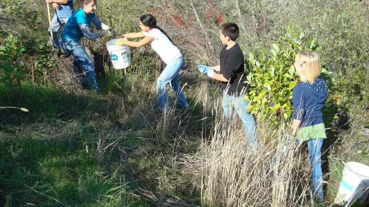 Volunteer Work Days