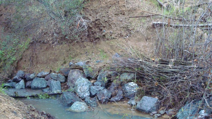 Stream Bank Stabilization