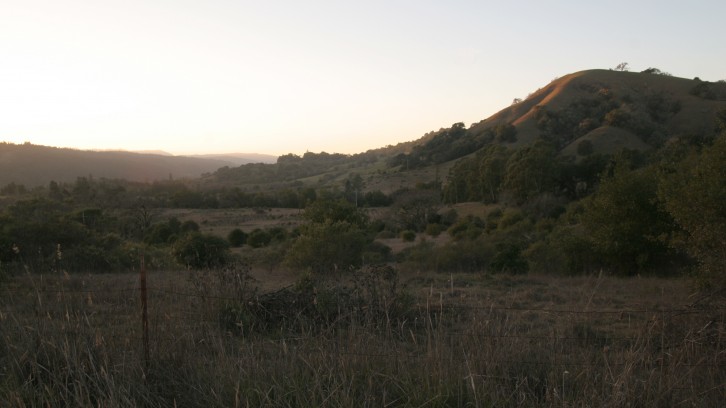 Land Stewardship